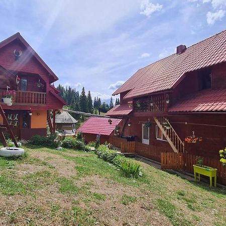 Cabana Cret Ocoale Dış mekan fotoğraf