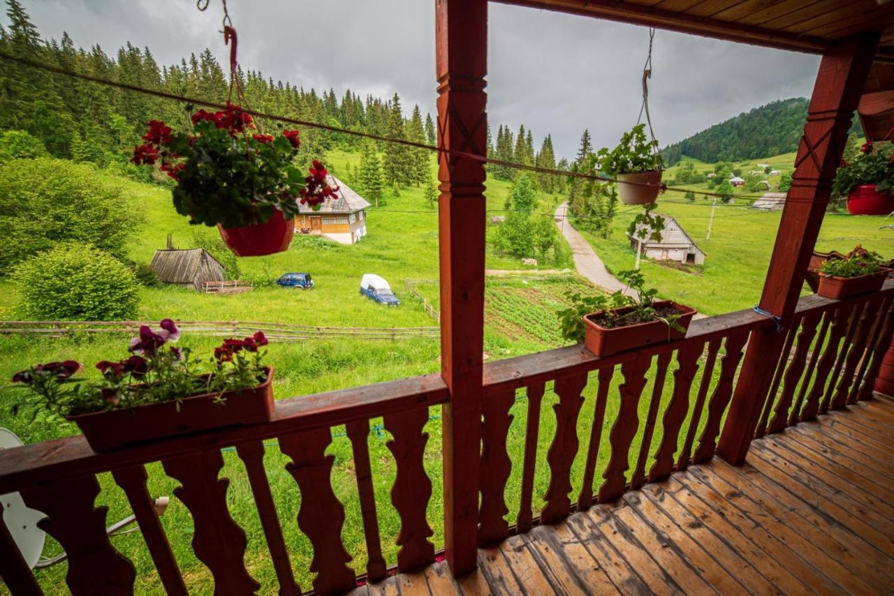 Cabana Cret Ocoale Dış mekan fotoğraf