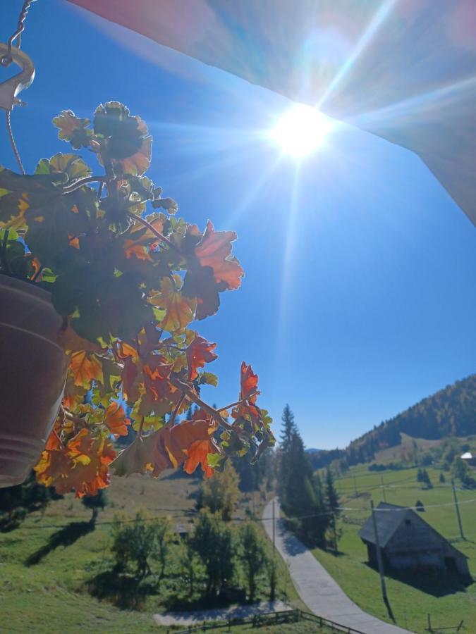 Cabana Cret Ocoale Dış mekan fotoğraf