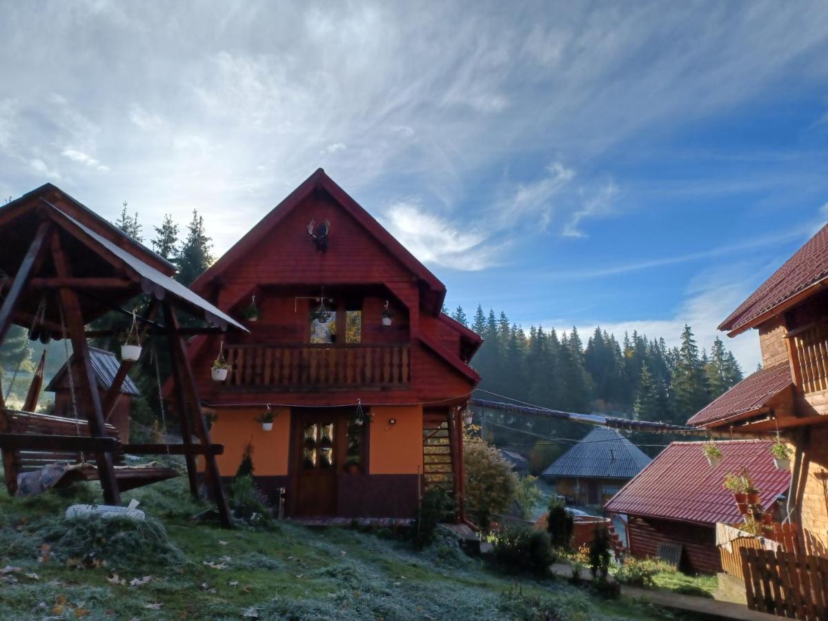 Cabana Cret Ocoale Dış mekan fotoğraf